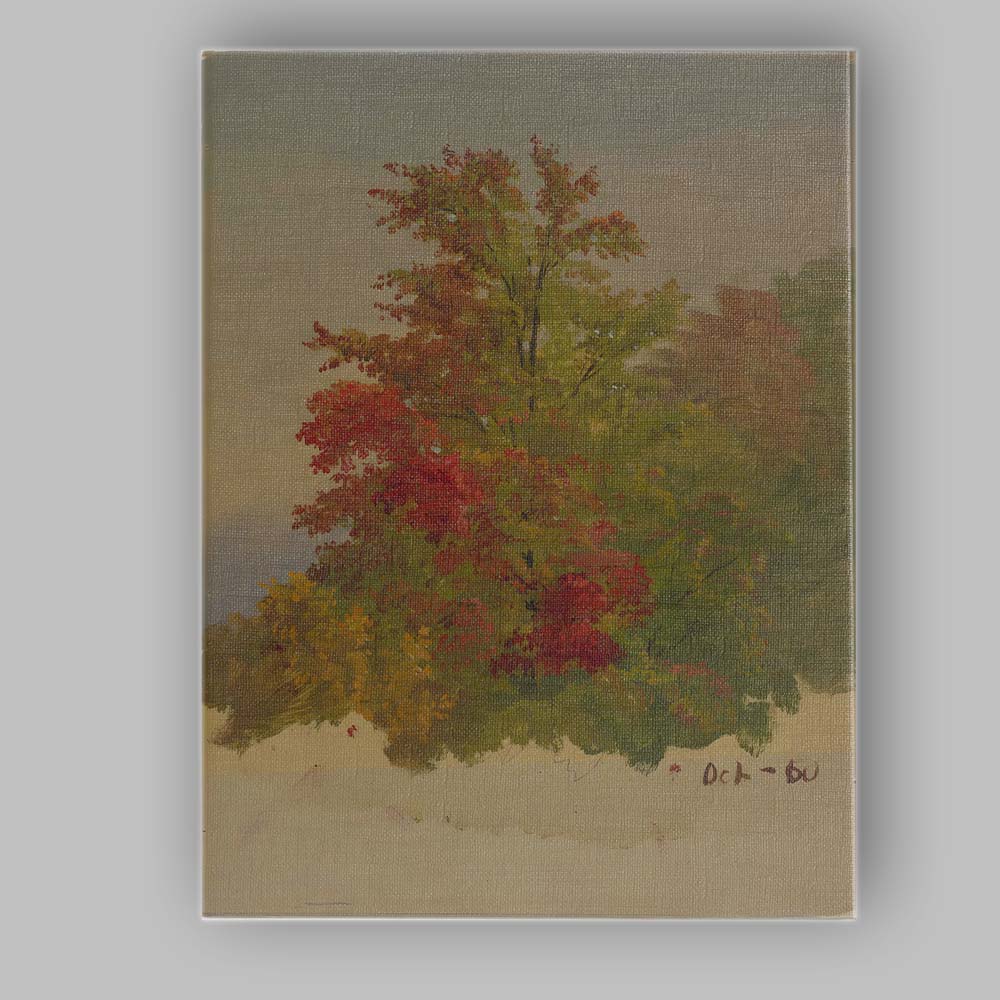 Vibrant Autumn Foliage Tree Study Impressionist Painting Canvas Wall Art Print Decor Picture Ready to Hang