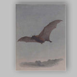 Flying Bat Natural History Wildlife Illustration Canvas Wall Art Print Decor Picture Ready to Hang