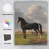 Black Horse Portrait In Pastoral Meadow Classical Country Landscape Canvas Wall Art Print Decor Picture Ready to Hang