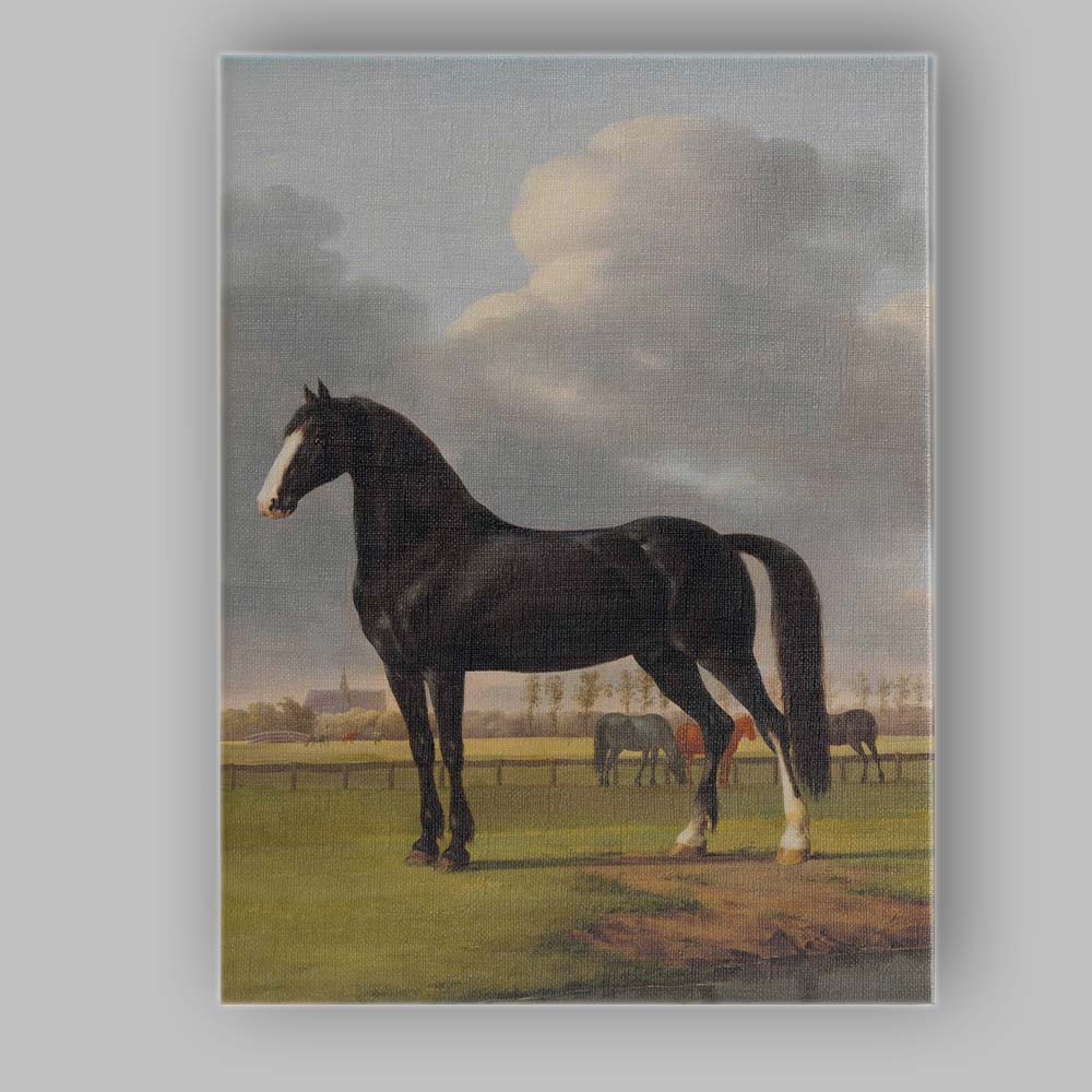 Black Horse Portrait In Pastoral Meadow Classical Country Landscape Canvas Wall Art Print Decor Picture Ready to Hang