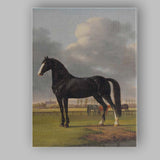 Black Horse Portrait In Pastoral Meadow Classical Country Landscape Canvas Wall Art Print Decor Picture Ready to Hang