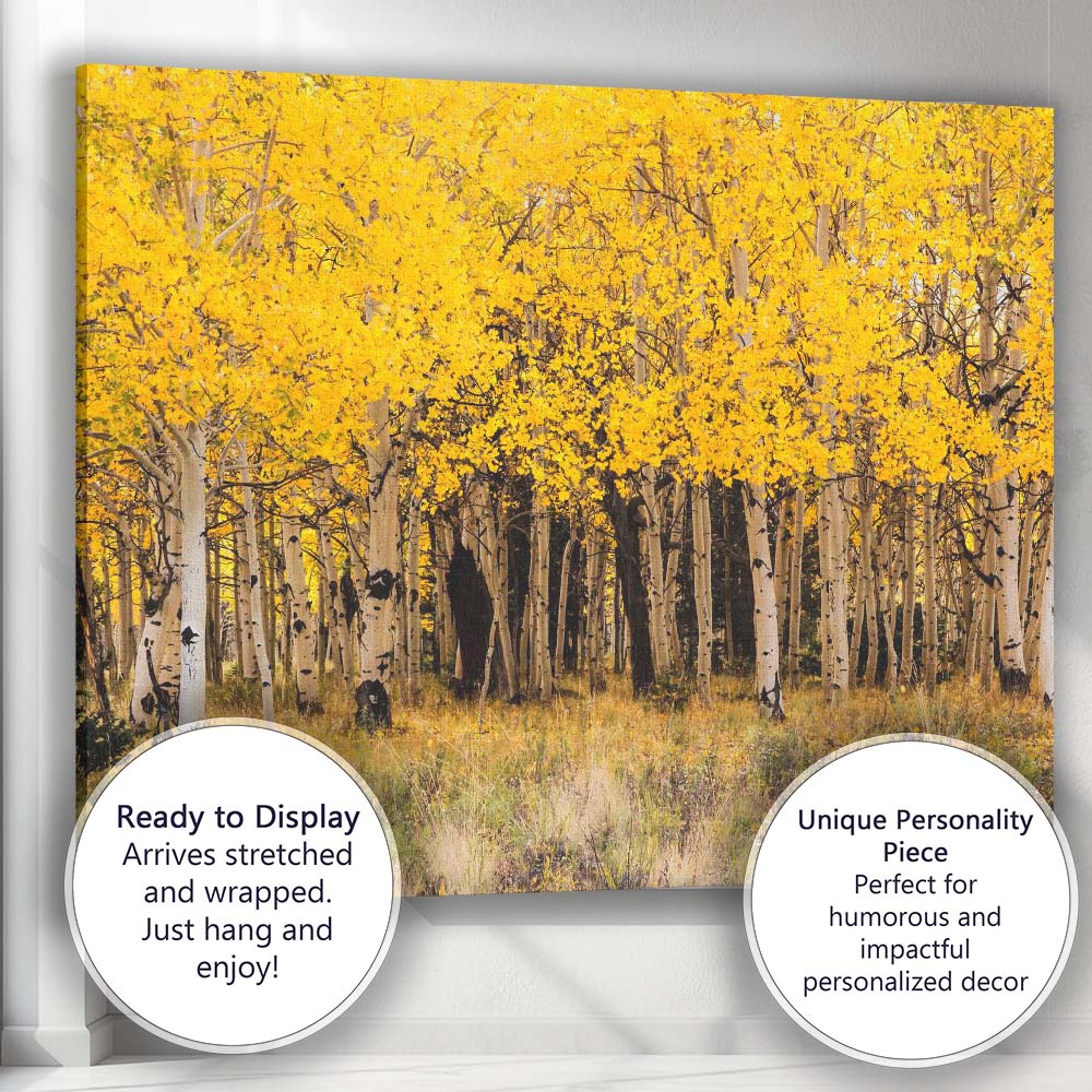 Golden Aspen Forest Autumn Woodland Nature Photography Canvas Wall Art Print Decor Picture Ready to Hang
