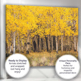 Golden Aspen Forest Autumn Woodland Nature Photography Canvas Wall Art Print Decor Picture Ready to Hang