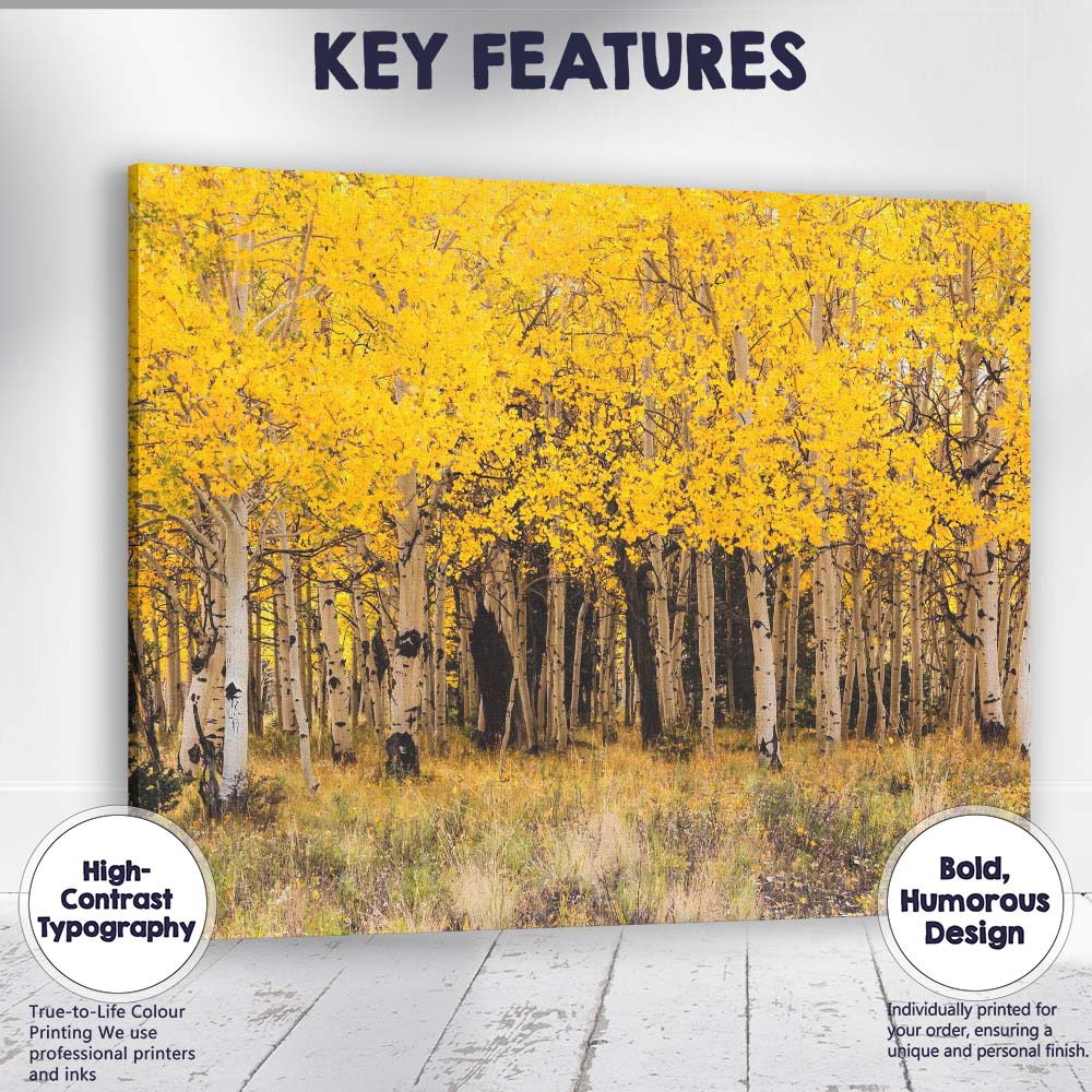 Golden Aspen Forest Autumn Woodland Nature Photography Canvas Wall Art Print Decor Picture Ready to Hang