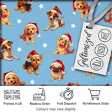 Cute Christmas Puppies Santa Hat on Sky Blue Star Background Seamless Pattern Digital Print Fabric by the Metre UK Sewing Quilting Textile