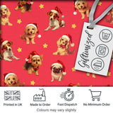 Cute Christmas Puppies Santa Hat on Bright Red Background Seamless Pattern Digital Print Fabric by the Metre UK Sewing Quilting Textile