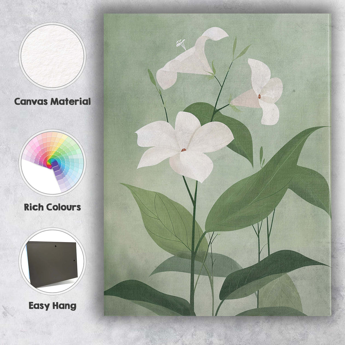 Soft Green Morning Glory Floral Botanical Illustration Canvas Wall Art Print Decor Picture Ready to Hang