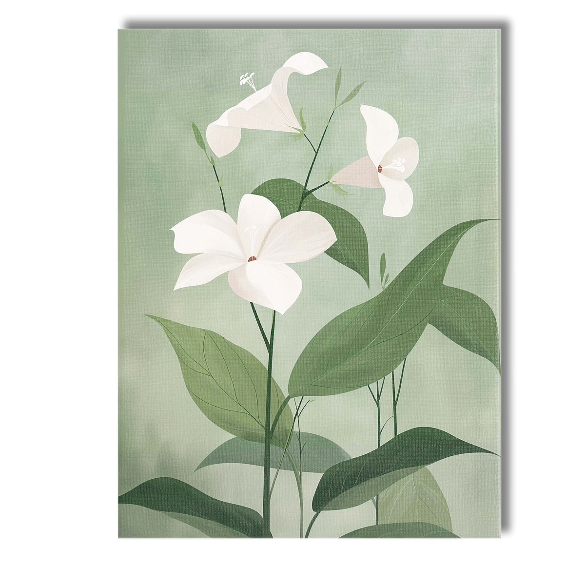 Soft Green Morning Glory Floral Botanical Illustration Canvas Wall Art Print Decor Picture Ready to Hang