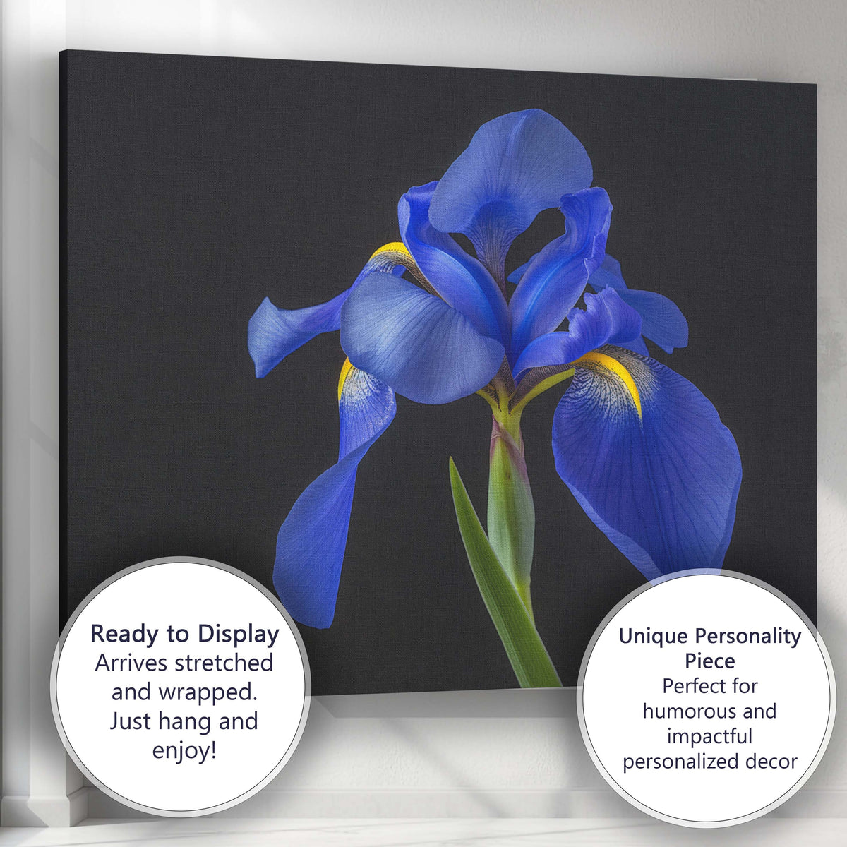Royal Blue Iris Flower Portrait Dramatic Botanical Photography Canvas Wall Art Print Decor Picture Ready to Hang