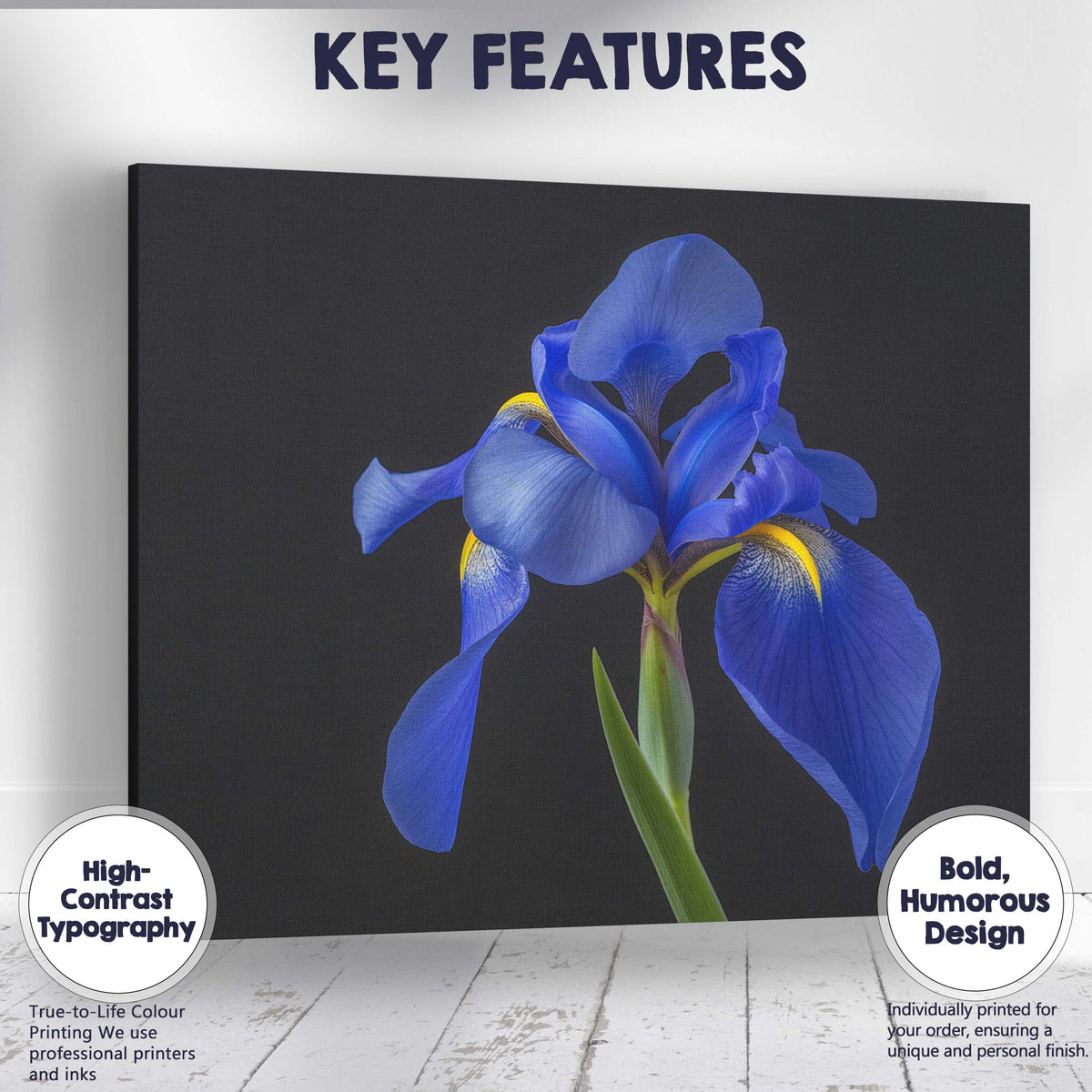 Royal Blue Iris Flower Portrait Dramatic Botanical Photography Canvas Wall Art Print Decor Picture Ready to Hang