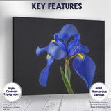 Royal Blue Iris Flower Portrait Dramatic Botanical Photography Canvas Wall Art Print Decor Picture Ready to Hang