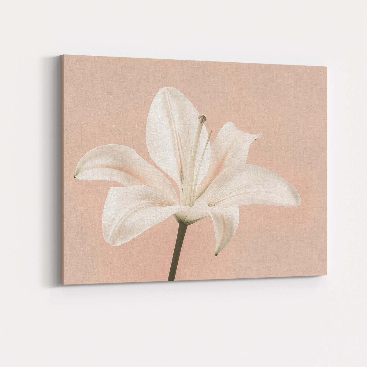 Cream White Lily Bouquet Yellow Botanical Illustration Canvas Wall Art Print Decor Picture Ready to Hang