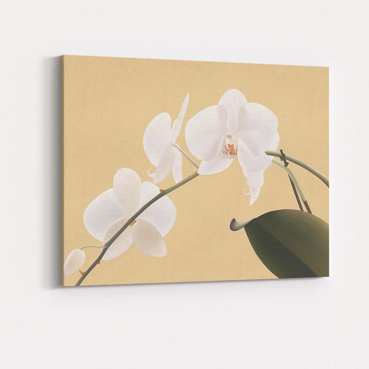 White Phalaenopsis Orchid On Warm Beige Background Botanical Canvas Wall Art Print Decor Picture Ready to Hang
