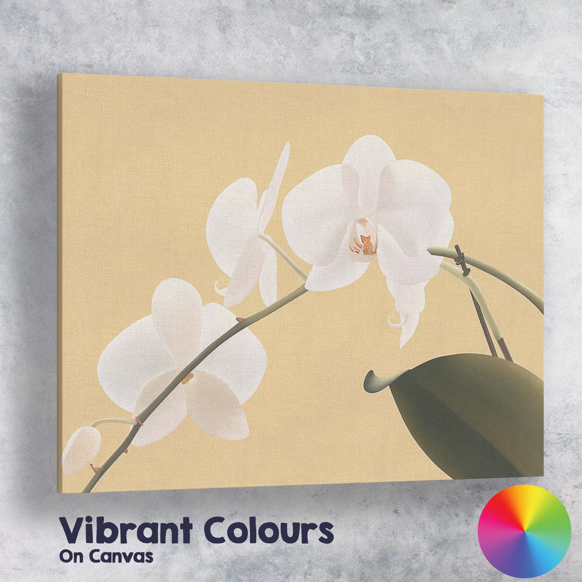 White Phalaenopsis Orchid On Warm Beige Background Botanical Canvas Wall Art Print Decor Picture Ready to Hang
