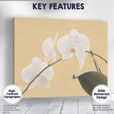 White Phalaenopsis Orchid On Warm Beige Background Botanical Canvas Wall Art Print Decor Picture Ready to Hang