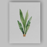 Minimal Tropical Leaf Plant Watercolour Botanical Nursery Canvas Wall Art Print Decor Picture Ready to Hang
