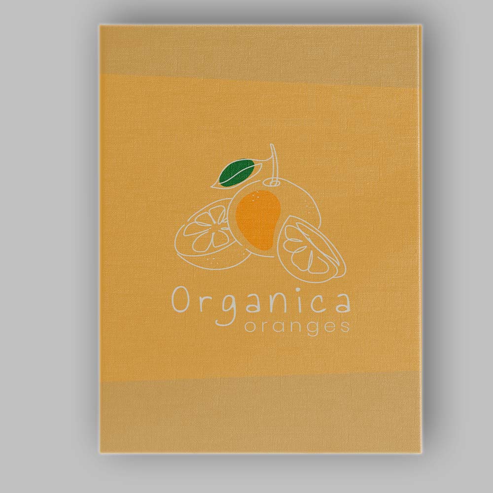 Minimalist Organic Orange Citrus Fruit Line Art Canvas Wall Art Print Decor Picture Ready to Hang
