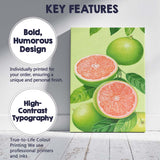 Pink Grapefruit Citrus Botanical Illustration Canvas Wall Art Print Decor Picture Ready to Hang