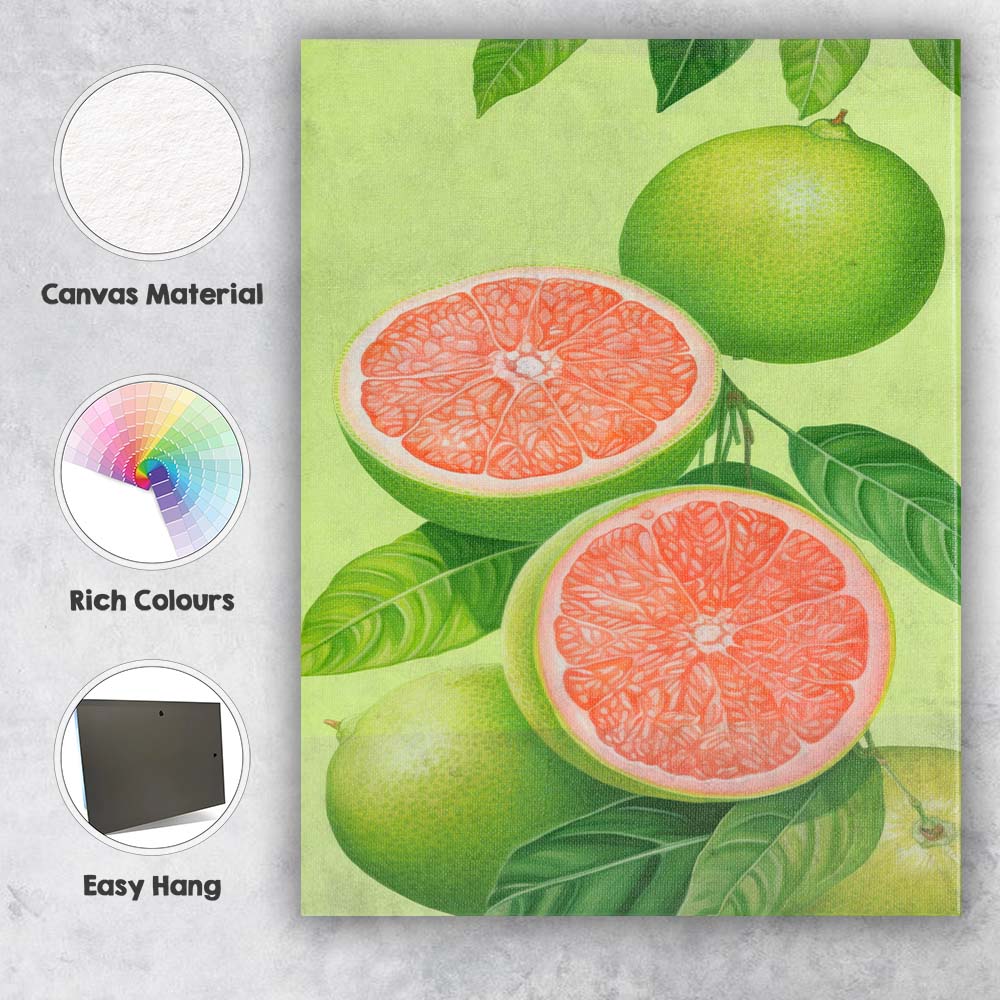 Pink Grapefruit Citrus Botanical Illustration Canvas Wall Art Print Decor Picture Ready to Hang