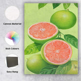 Pink Grapefruit Citrus Botanical Illustration Canvas Wall Art Print Decor Picture Ready to Hang