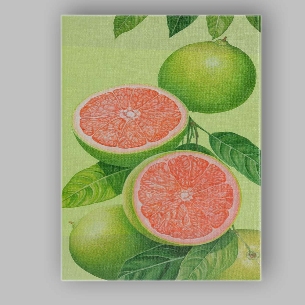 Pink Grapefruit Citrus Botanical Illustration Canvas Wall Art Print Decor Picture Ready to Hang