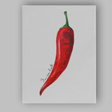 Watercolour Red Chilli Pepper Botanical Kitchen Illustration Canvas Wall Art Print Decor Picture Ready to Hang