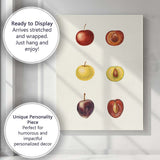 Botanical Plum Fruit Study Watercolour Illustration Canvas Wall Art Print Decor Picture Ready to Hang