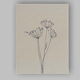 Minimalist Wildflower Seed Head Botanical Line Drawing Canvas Wall Art Print Decor Picture Ready to Hang