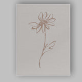 Minimalist Single Wildflower Sketch Botanical Canvas Wall Art Print Decor Picture Ready to Hang