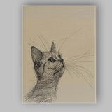 Detailed Kitten Portrait Pen Sketch Canvas Wall Art Print Decor Picture Ready to Hang
