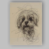 Expressive Shih Tzu Dog Portrait Sketch Canvas Wall Art Print Decor Picture Ready to Hang