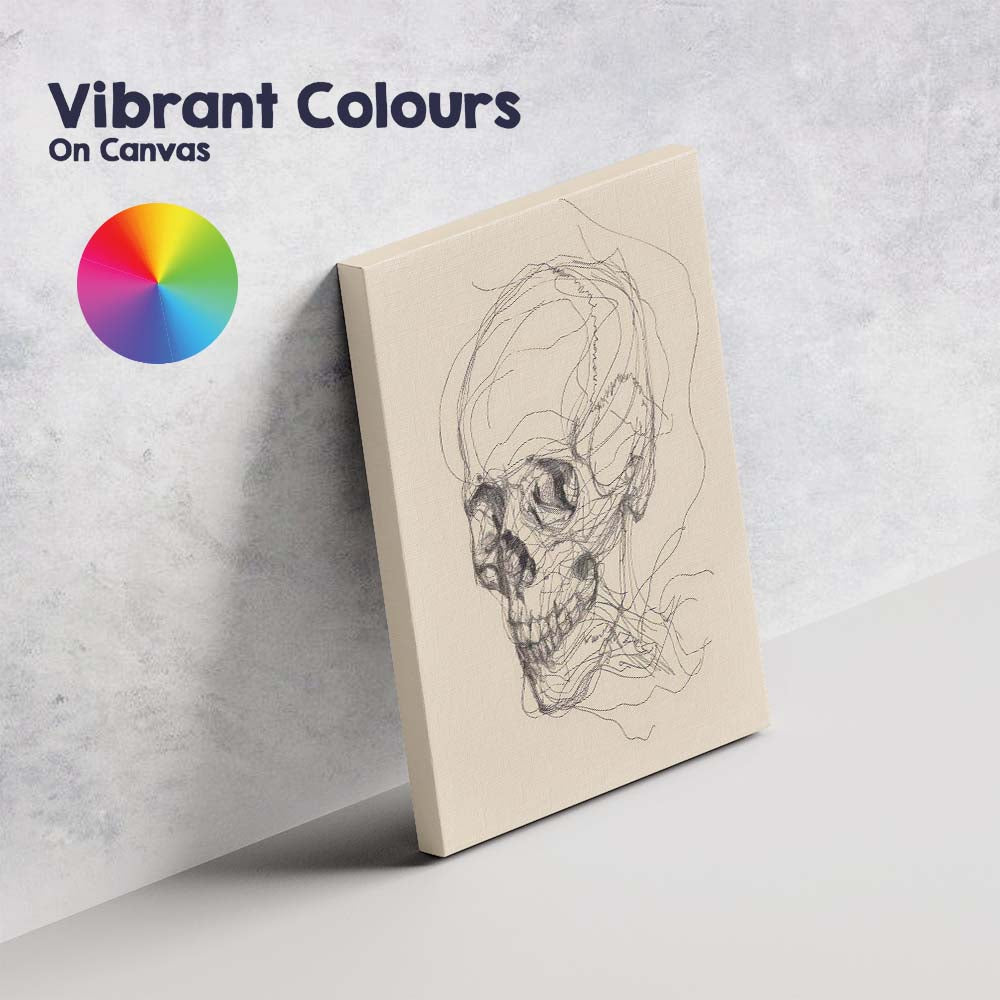 Detailed Human Skull Anatomical Sketch Canvas Wall Art Print Decor Picture Ready to Hang
