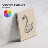 Detailed Swan Bird Sketch Illustration Canvas Wall Art Print Decor Picture Ready to Hang