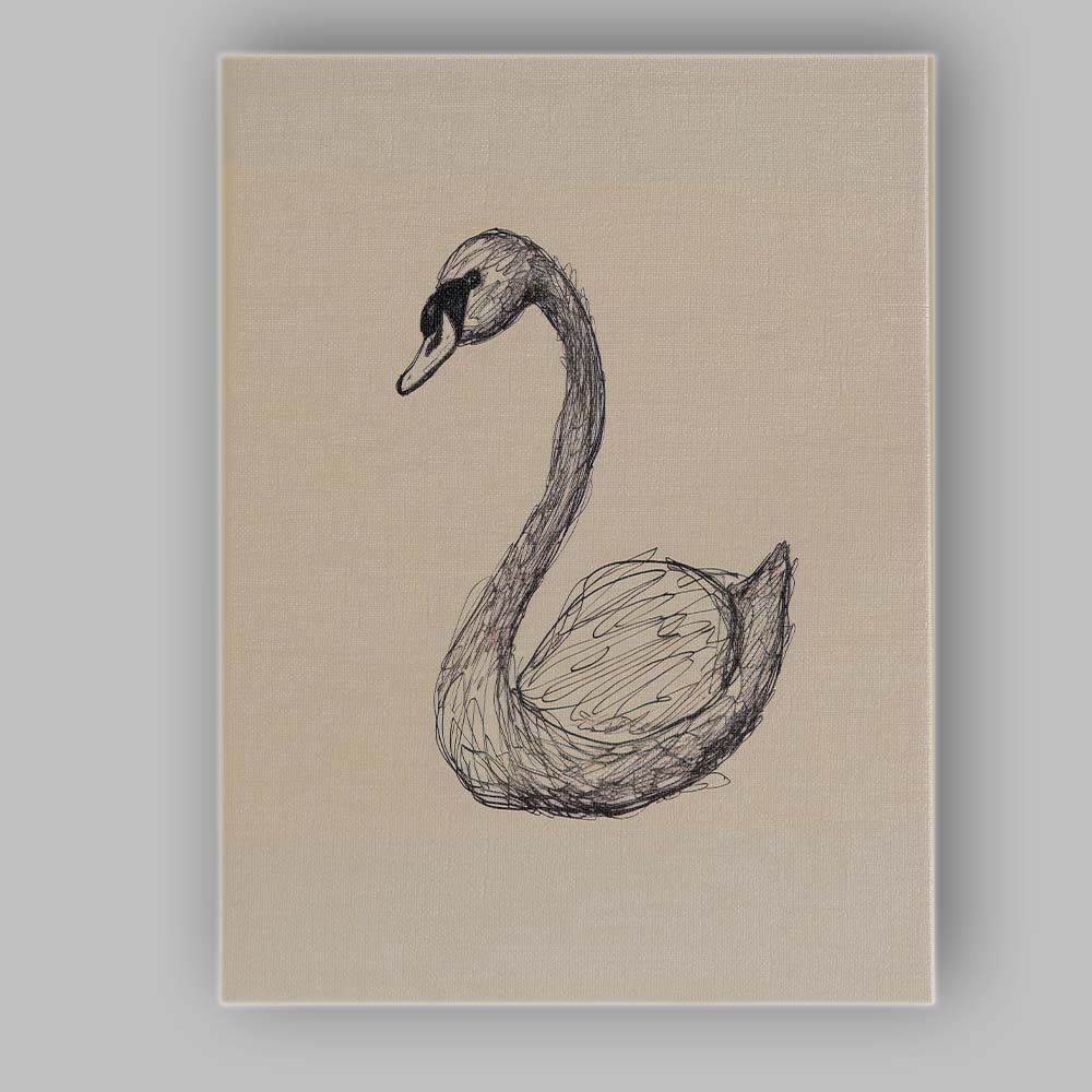 Detailed Swan Bird Sketch Illustration Canvas Wall Art Print Decor Picture Ready to Hang