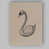 Detailed Swan Bird Sketch Illustration Canvas Wall Art Print Decor Picture Ready to Hang
