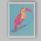 Pop Art Toucan Turquoise Background Tropical Bird Canvas Wall Art Print Decor Picture Ready to Hang