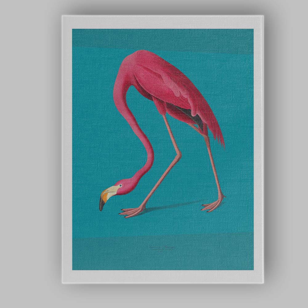 Minimalist Pink Flamingo Tropical Bird Illustration Canvas Wall Art Print Decor Picture Ready to Hang