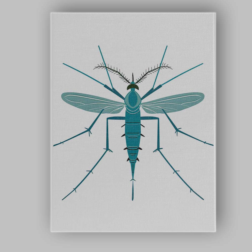 Minimal Teal Mosquito Scientific Insect Illustration Canvas Wall Art Print Decor Picture Ready to Hang