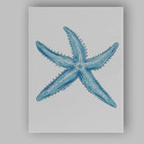 Blue Starfish Coastal Marine Illustration Canvas Wall Art Print Decor Picture Ready to Hang