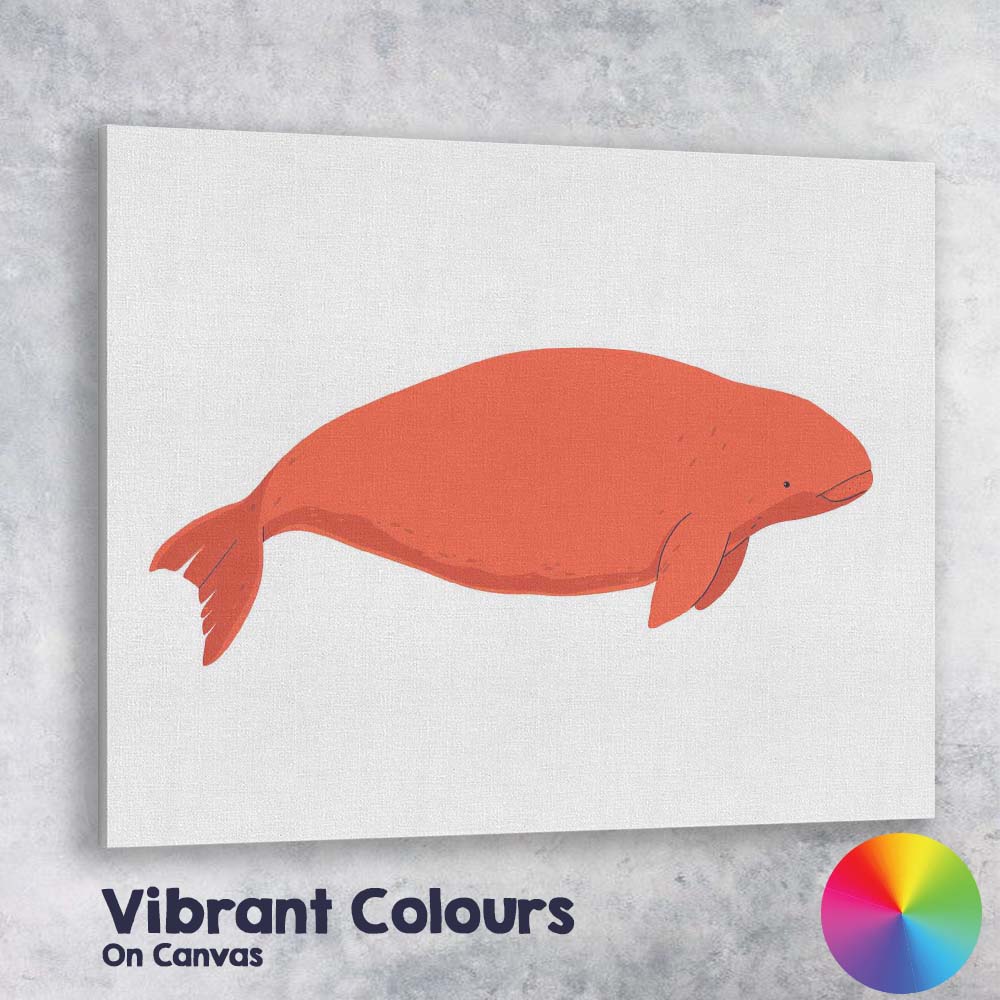 Minimalist Beluga Whale Marine Animal Illustration Canvas Wall Art Print Decor Picture Ready to Hang