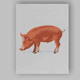 Rustic Brown Wild Boar Woodland Animal Illustration Canvas Wall Art Print Decor Picture Ready to Hang