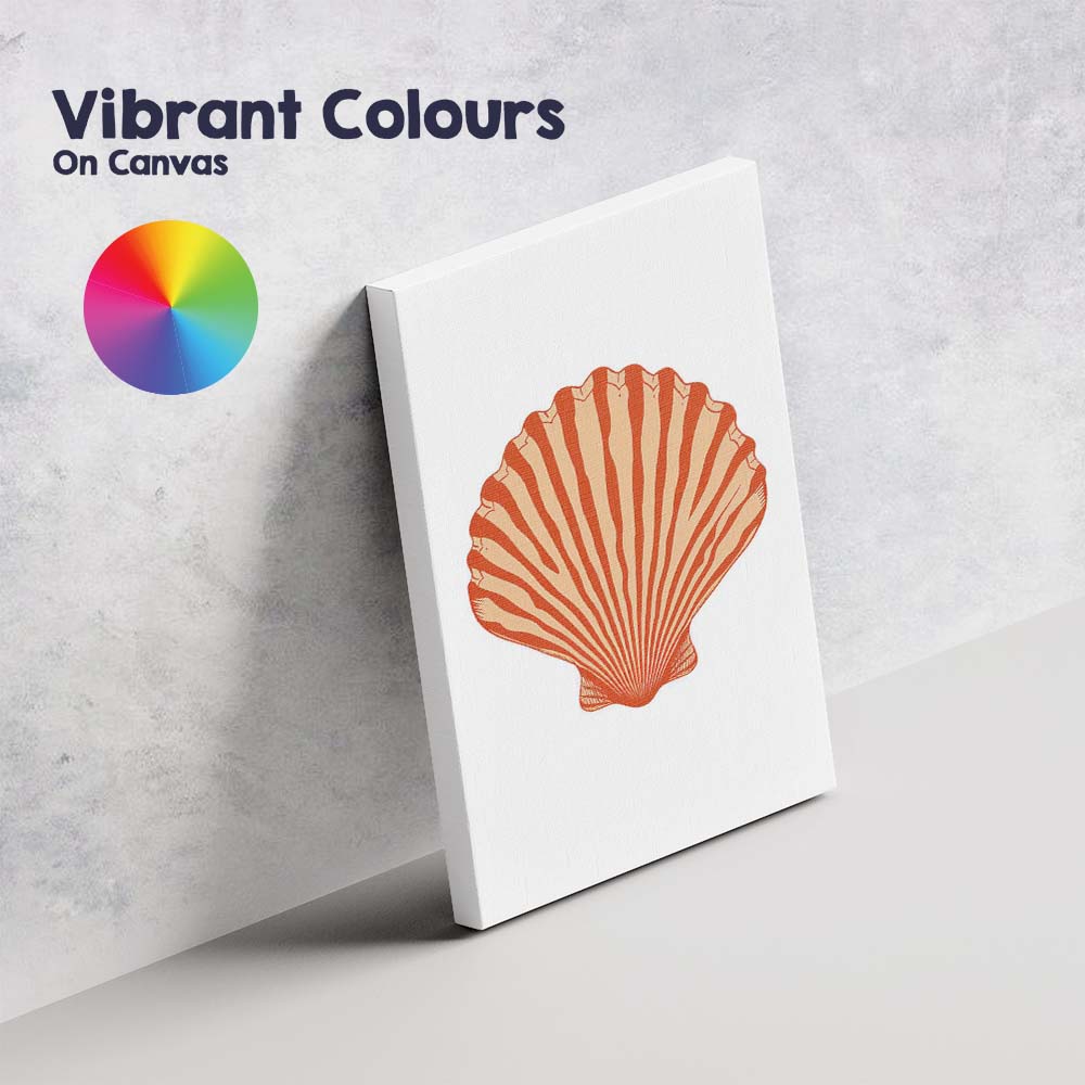 Minimalist Orange Scallop Seashell Coastal Illustration Canvas Wall Art Print Decor Picture Ready to Hang