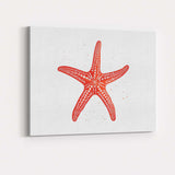 Rustic Coral Orange Decorative Starfish Coastal Illustration Canvas Wall Art Print Decor Picture Ready to Hang