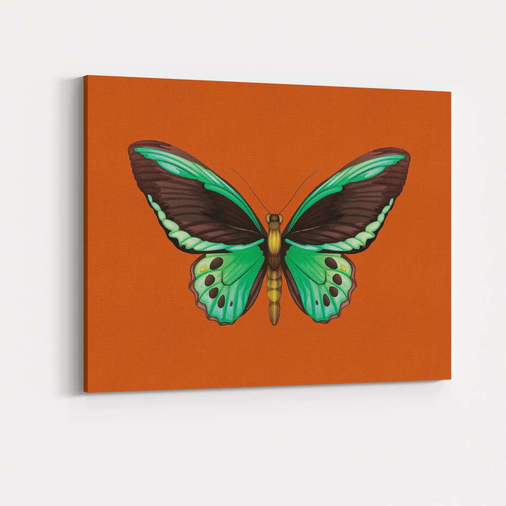 Vibrant Green Tropical Butterfly Botanical Illustration Canvas Wall Art Print Decor Picture Ready to Hang
