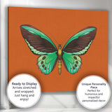 Vibrant Green Tropical Butterfly Botanical Illustration Canvas Wall Art Print Decor Picture Ready to Hang