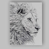 Detailed Black White Lion Profile Fine Line Illustration Canvas Wall Art Print Decor Picture Ready to Hang