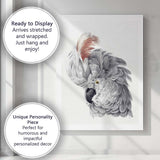 Elegant Grey Cockatoo Portrait Watercolour Bird Illustration Canvas Wall Art Print Decor Picture Ready to Hang