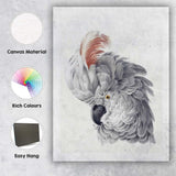 Elegant Grey Cockatoo Portrait Watercolour Bird Illustration Canvas Wall Art Print Decor Picture Ready to Hang