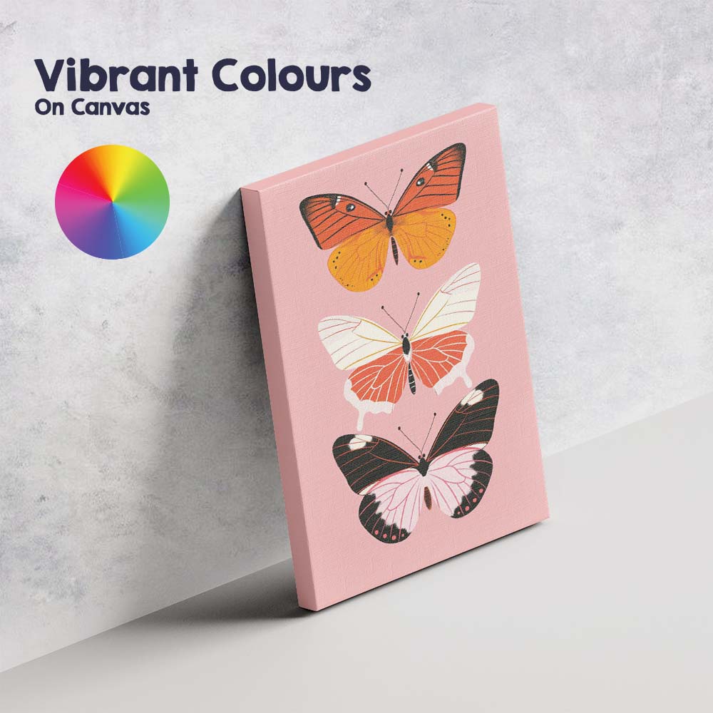 Modern Pink Orange Butterfly Collection Illustration Canvas Wall Art Print Decor Picture Ready to Hang