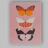 Modern Pink Orange Butterfly Collection Illustration Canvas Wall Art Print Decor Picture Ready to Hang